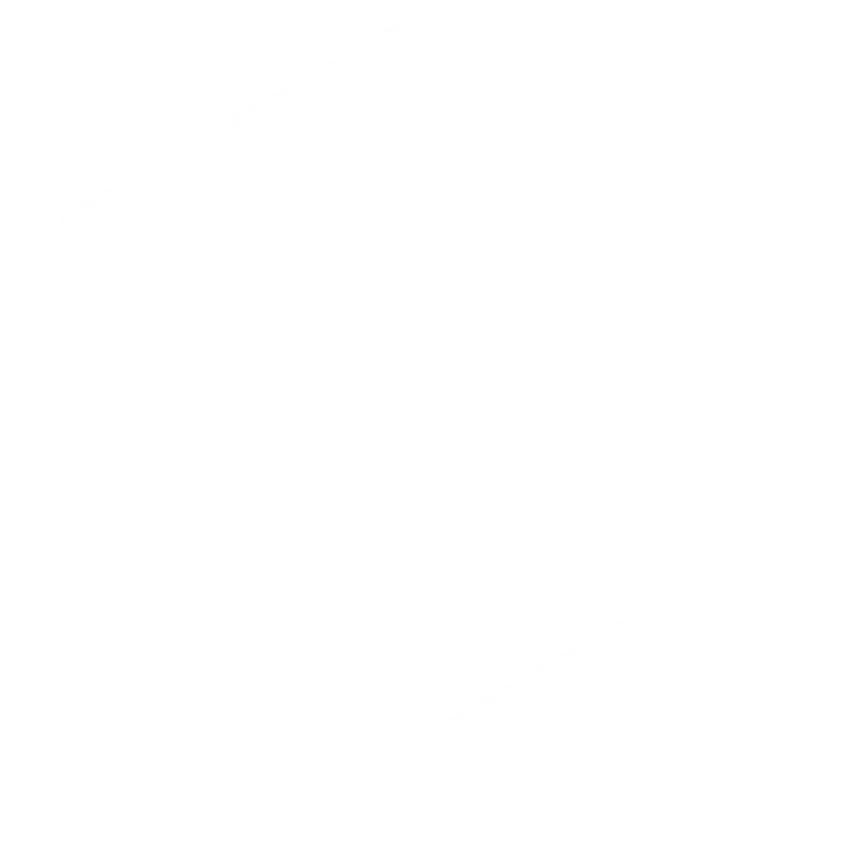 Payload